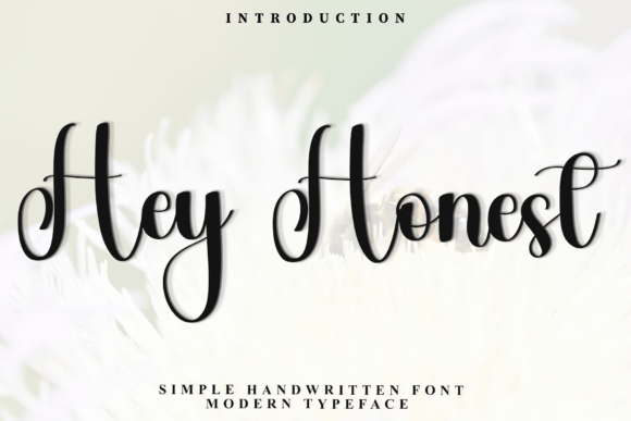 Transform Your Brand with Hey Honest: A Festive Script Font